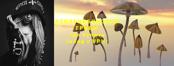 ALPHA-PVP Алексеевка